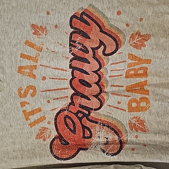 2 fall themed tees, Bella Canvas XL and Gildan 2XL, - Picture 13 of 15